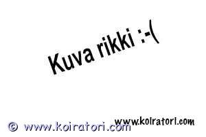 MYYDääN mopsi www.koiratori.com-ilmoitus Mopsi poika etsi rakastava koti. Synty. 5.12.2022.madotettu.rokotettu.sirutettu.mydan kenneliton sopimuksella. Vanhemmat nähtävissä. Pieni pentu paketti mukaan. LISÄTIEDOT 0409139434. 
